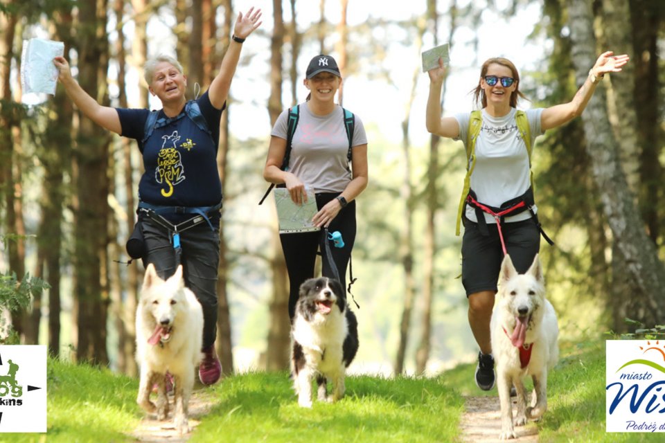 Puchar Polski w Dogtrekkingu